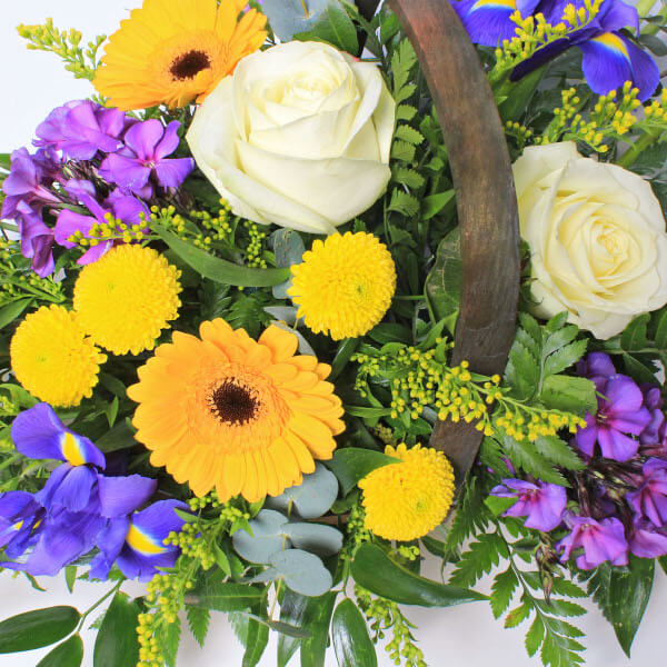 Summer County Basket