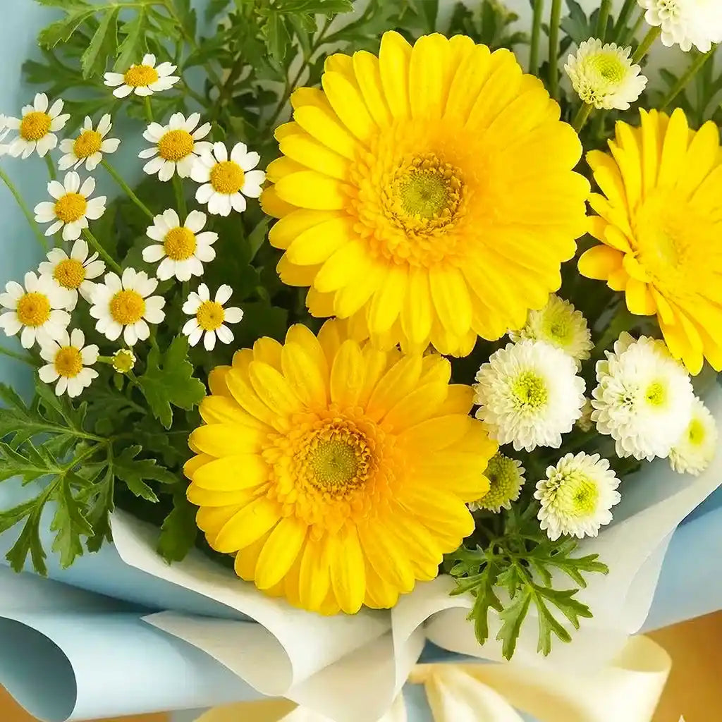 Sunny Bloom