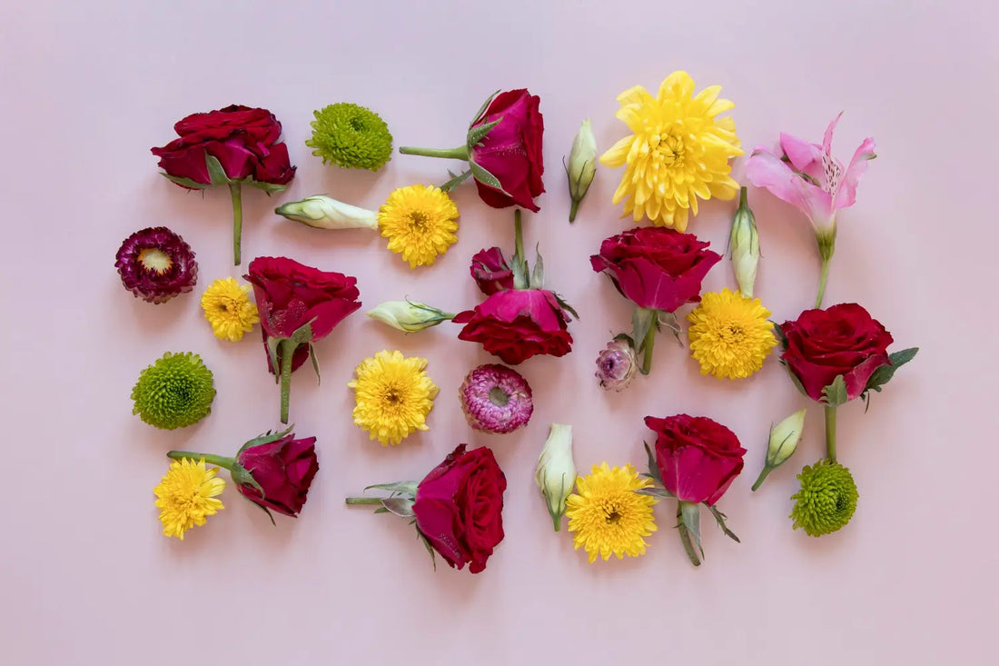 A to Z of Flowers: Your Ultimate Alphabetical Guide