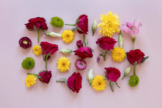 A to Z of Flowers: Your Ultimate Alphabetical Guide