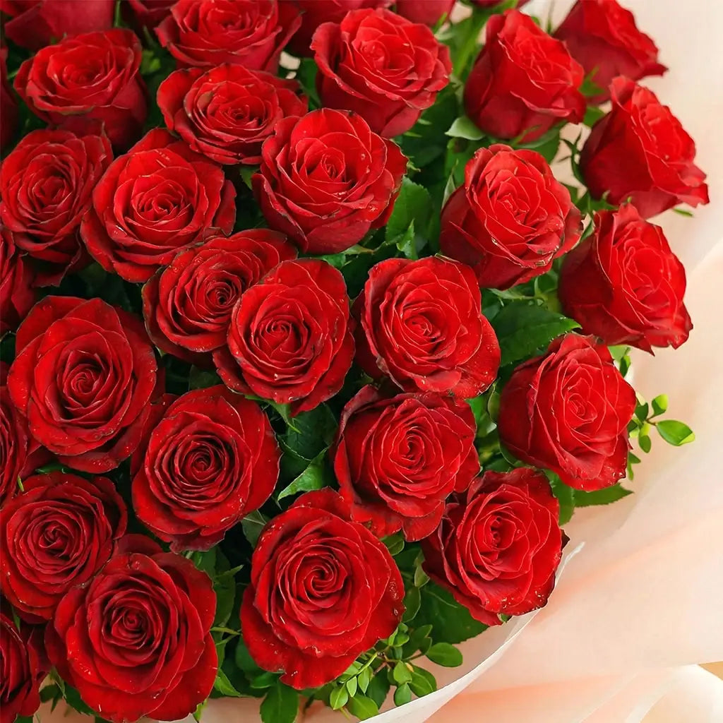 50 Red Roses