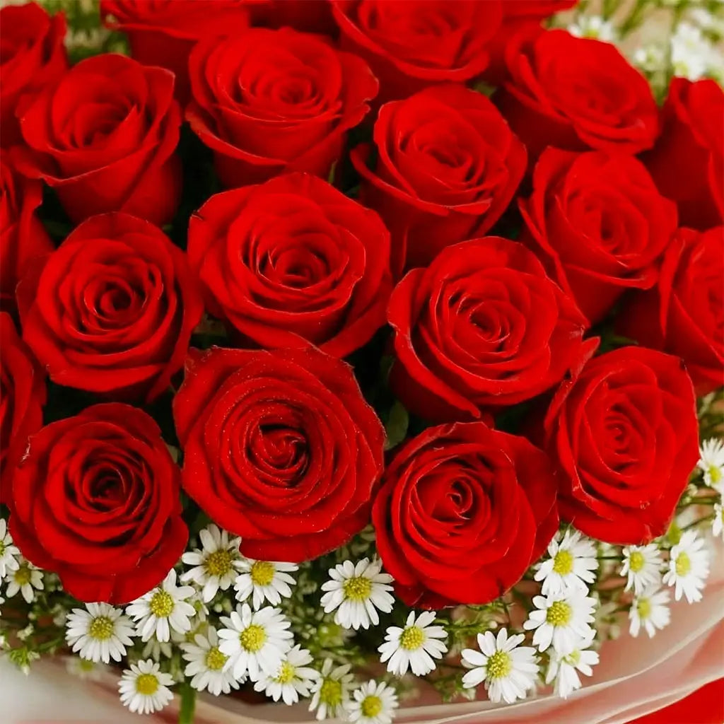 Luxury Two Dozen Red Roses