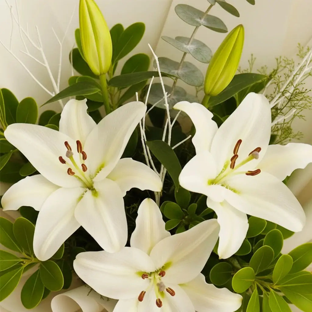 White Lilies